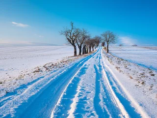 Tree Lined Farm Road through Snow Covered Fields in Winter, Saxony-Anhalt, Germany © AVTG