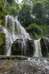Beautiful tropical waterfall cascading down mossy rocks in a dense green forest, La Palmita waterfall in La Azulita, Merida, Venezuela. © javier