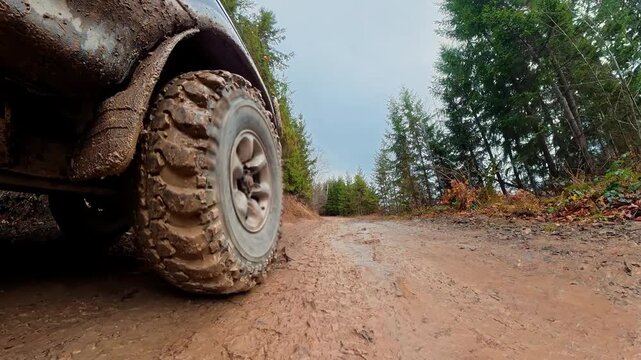 Muddy off road tire beside a rugged track in a conifer forest, Low angle action view of a four wheel drive vehicle crossing wet forest terrain