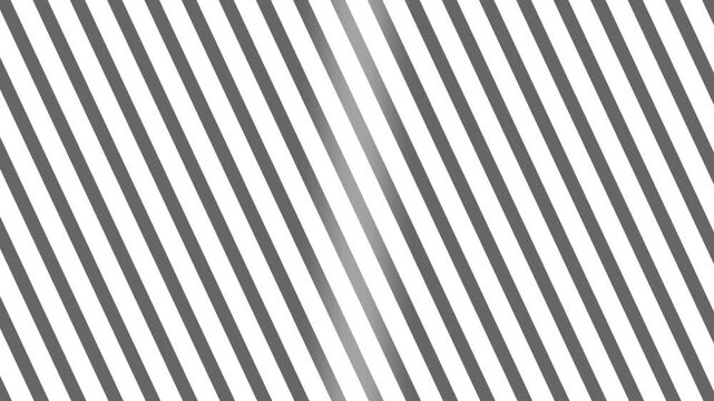 Abstract animation 4k white diagonal stripes background, motion