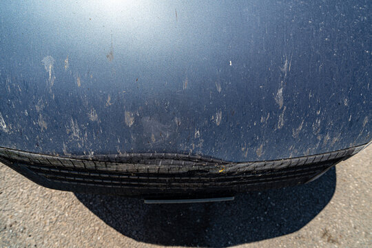 Hood covered in bug splatters top view
