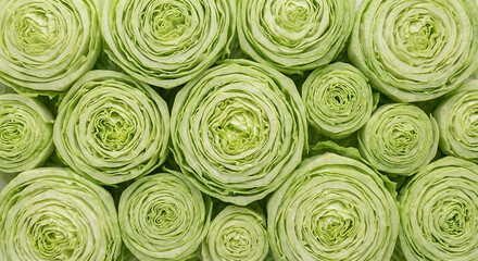 Obraz premium Macro Cross Section Texture of Fresh Green Cabbage Halves Arranged in a Dense Pattern