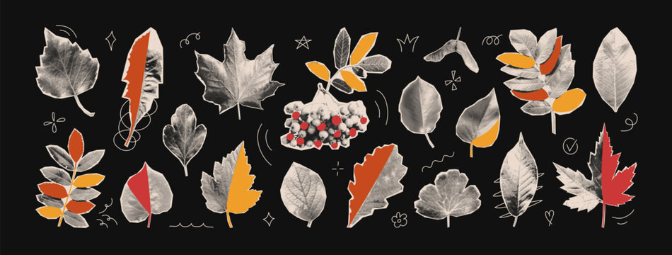 Halftone Autumn collage leaves set. Paper cut out foliage sticker. Trendy pop art fall seasonal elements. Zine style icon decorations. Vector mixed media illustration for poster banner card.