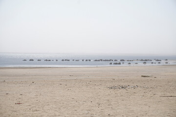 Scenic view of Wadi El Rayan lake in Faiyum desert, Egypt © Damian