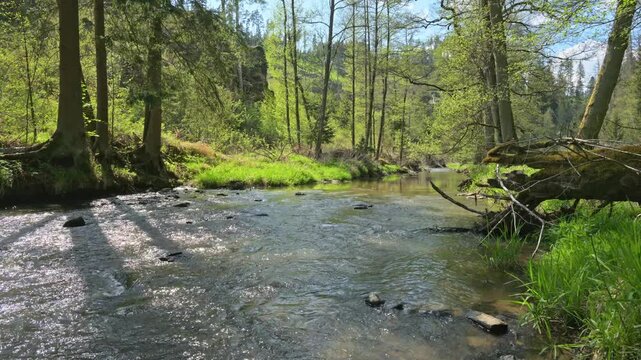 relaxing view on a flowing creek with nature sounds
