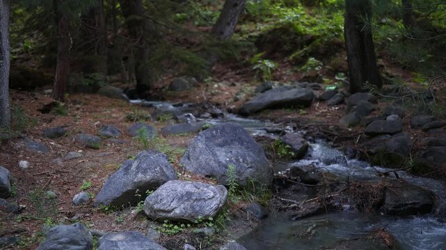 Water flows through a rocky area in a forest during the day near a small stream with trees surrounding the location