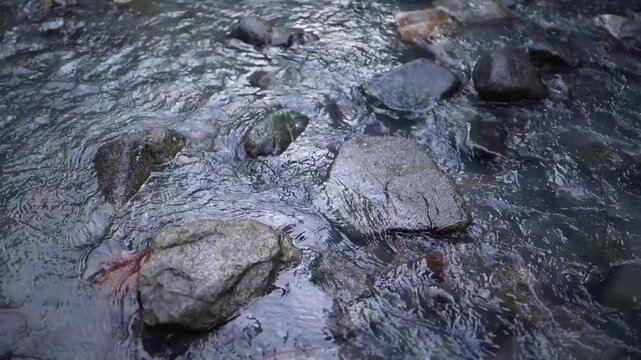 Rocks in a river showing water flow in a natural setting during daylight hours