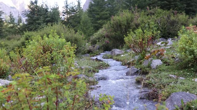Water flowing through a green meadow with rocks and trees in the mountains during daytime