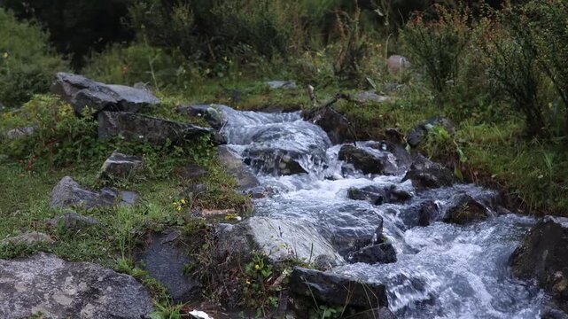 Flowing water over rocks in a natural setting with plants and greenery around