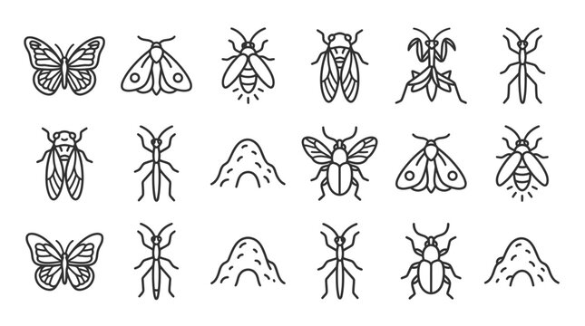 Insect Icons Collection: Butterflies, Moths, Ants, Praying Mantis, Stick Insects, Cicadas