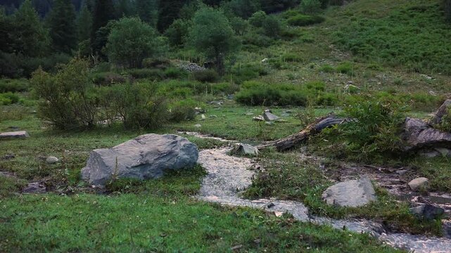 Exploring a rocky area with greenery and a small water stream in a mountain region