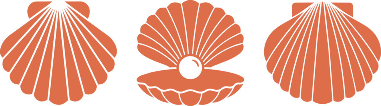 Scallop shell icon collection. Seashell and marine mollusk illustrations. Coastal ocean design element. Clean vector illustration