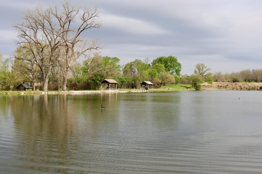 The quiet pond in the country on a sunny day.