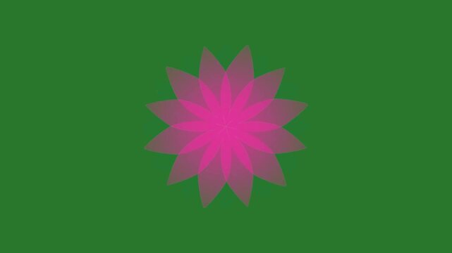 Green and Pink Flower on Green Screen Background Horizontal 16-9