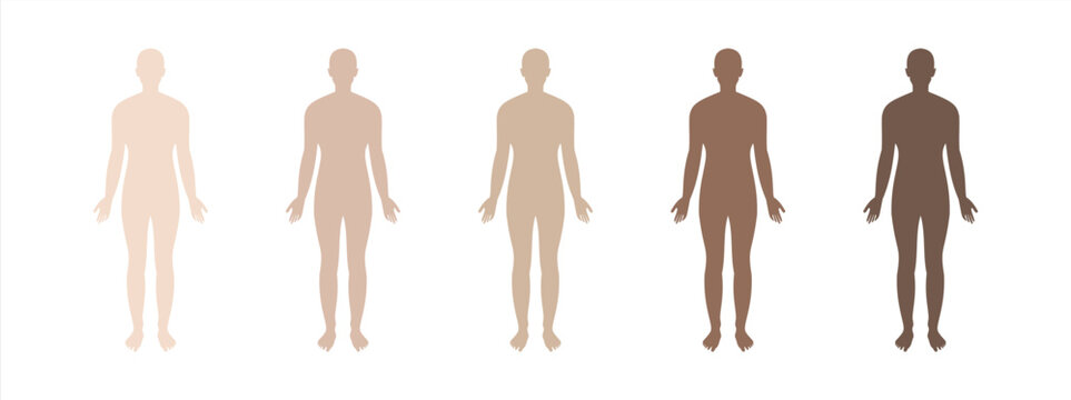 icon of human body shape, illustration of a male human body with different skin colors, isolated science example