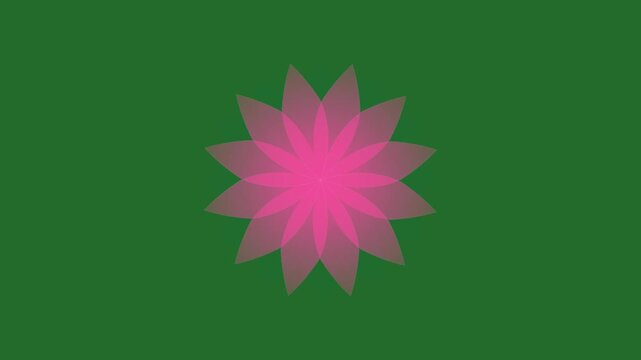 Green and Pink Flower on Green Screen Background Horizontal 16-9