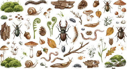 Woodland forest floor watercolor element set with mushrooms insects bark and moss © MdAmzad