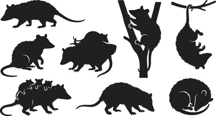 Obraz premium Opossum Silhouette Collection Featuring Virginia Marsupials Climbing Carrying Babies Hanging and Resting Wildlife Black Vector Illustration Set
