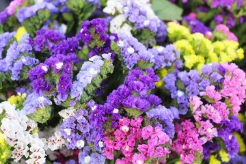 Obraz premium floral background, beautiful bouquet of flowers