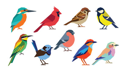 Geometric low poly birds collection featuring colorful kingfisher cardinal sparrow tit bullfinch and bee eater flat vector icons © Ruma