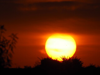fantástico amanecer bajo las nubes con sol  color blanco con anillo amarillo, Golmés, Lérida, España, Europa  © Nieves