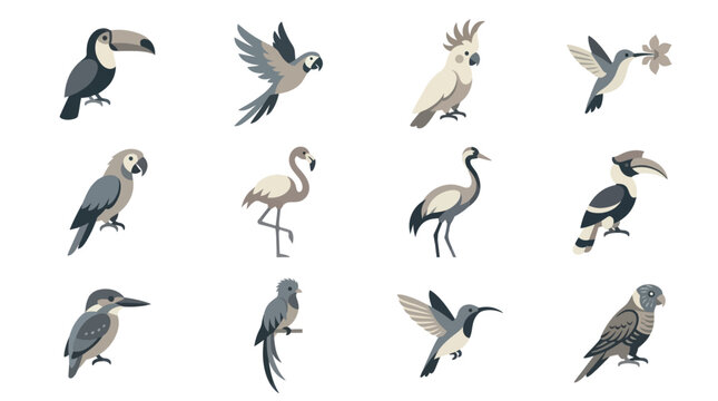 Various types of birds standing still.