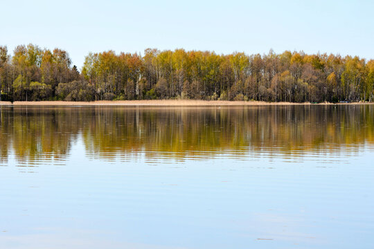 Calm lake in Estonia with clear reflections of a forested spring shoreline under a light blue sky