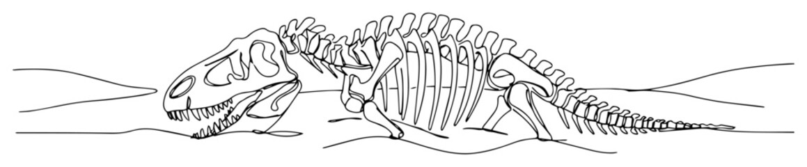 dinosaur skeleton fossil in ground © Wieslaw