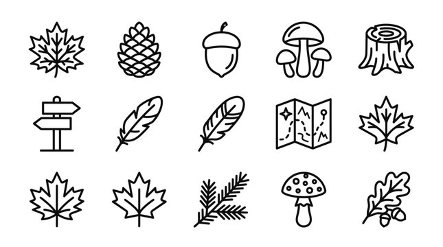 Autumn Forest Icons: Maple Leaf, Acorn, Pinecone, Mushroom, Feather, Map, Signpost, Tree Stump