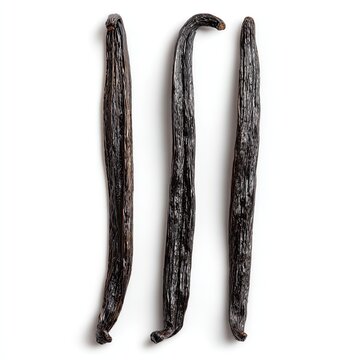 Three dried, dark brown, curved pods with a textured surface