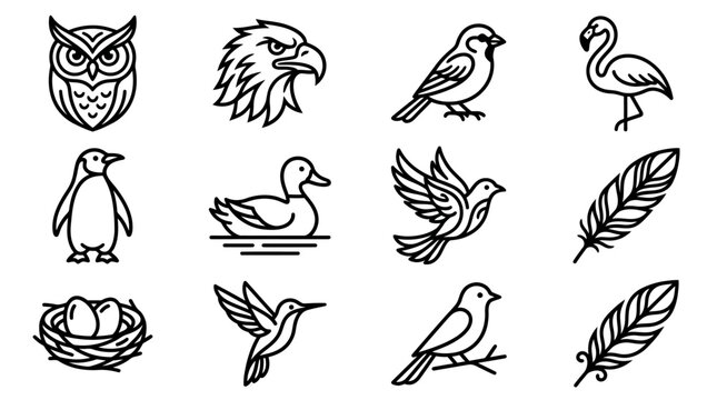 Vector Icons Collection: Diverse Birds and Feathers - Owl, Eagle, Flamingo, Penguin, Duck