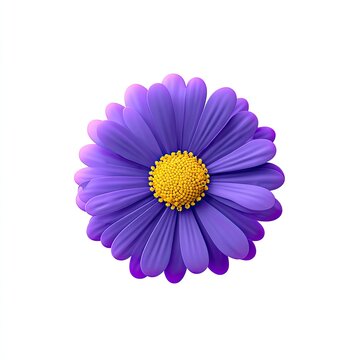 Vibrant purple daisy with yellow center, isolated on white