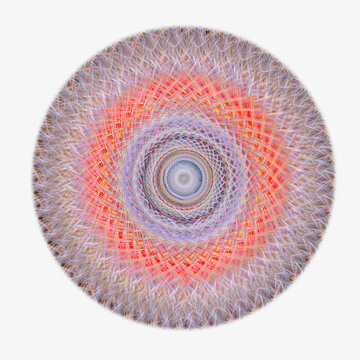 Mathematical mandala from daisy fleabane photo, abstract