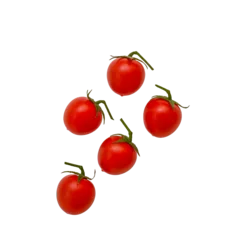 Small Cherry tomatoes isolated on white, clipping path, PNG © Savvapanf Photo ©