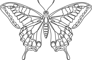 Beautiful Swallowtail Butterfly Line Art Illustration. © gunidea