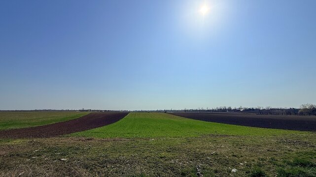 Wide rural farmland under clear blue sky, green and dark soil fields stretch to the horizon, bright sun overhead creating a calm open midday mood
