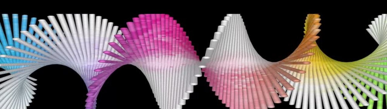 pink lily flower 3d rotating animation video