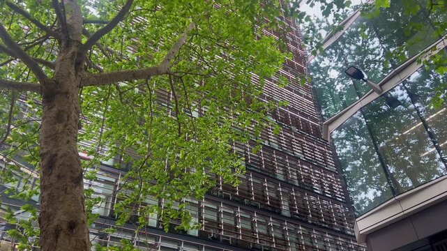 Lush green trees against modern City of London skyscrapers, urban nature, sustainable city, healthy workplace, green business district, summer office environment, balanced city living and modern archi