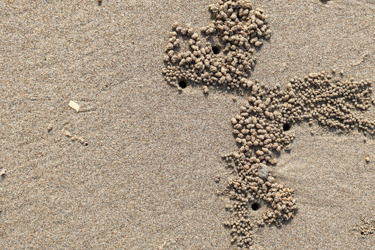 ​Top view close-up of small sand bubbler crab holes surrounded by tiny round sand pellets on a beach coast.