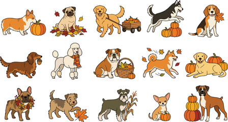 Fototapeta premium Cute autumn dog breeds vector sticker collection with harvest pumpkins
