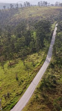 Aerial Drone Shot of a Road crossing a forest at Daytime
