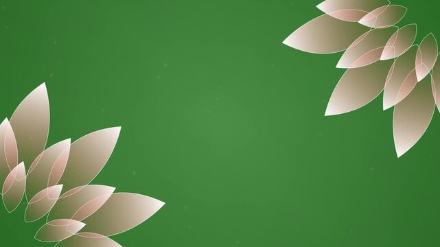 Green, Pink, Gold Flower on Green Screen Background Horizontal 16-9