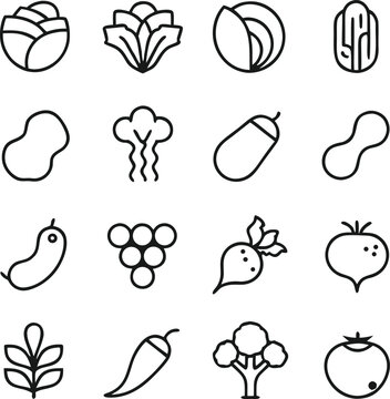 Hand Drawn Fruit and Vegetable Outline Icons Bundle, Minimal Organic Food Line Vector Collection