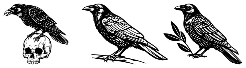 Fototapeta premium Raven birds sitting on human skull and tree branches in gothic engraving style