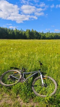 bicycle in the field