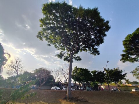 Goi&acirc;nia &eacute; a moderna capital do estado de Goi&aacute;s, no Brasil. Fundada em 1933, &eacute; mundialmente famosa como a "Capital Verde"