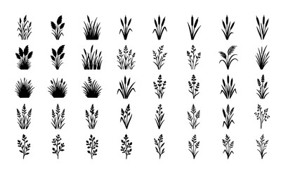 Black Grass and Cattail Silhouette Vector Set with Meadow Reed Botanical Plant Icons on White Background © Rikta