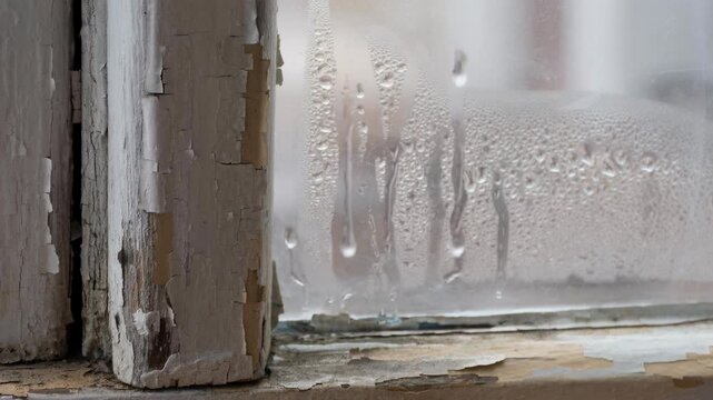 Close-up of old peeling paint on wooden window frame with condensation droplets on glass