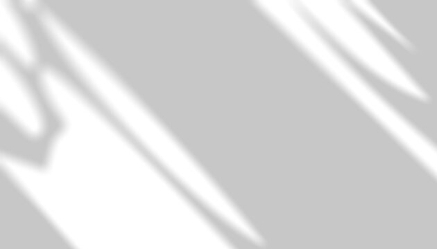 Organic abstract leaf shadow transparent window overlay png in grayscale tones