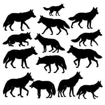 A collection of 13 black silhouettes of wolves in various walking poses